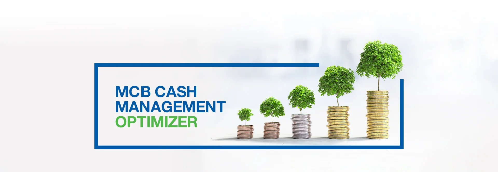 MCB Cash Management Optimizer