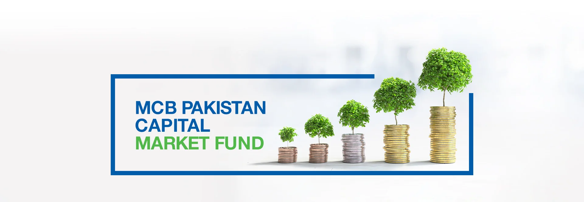 MCB Pakistan Capital Market Fund