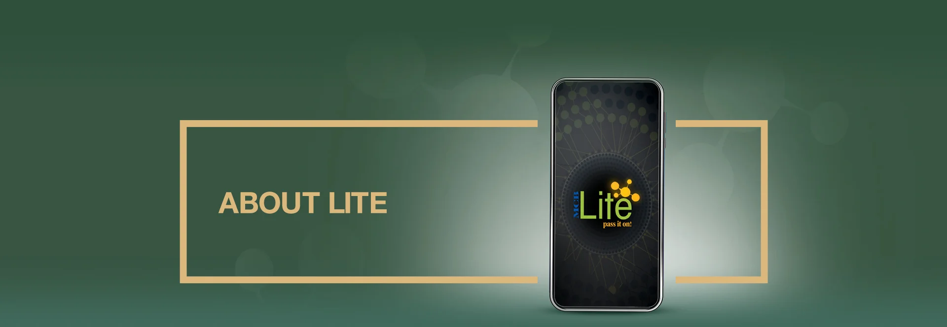 About Lite