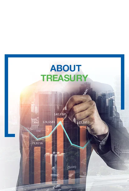About Treasury