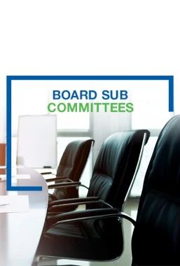 Board Sub Committees