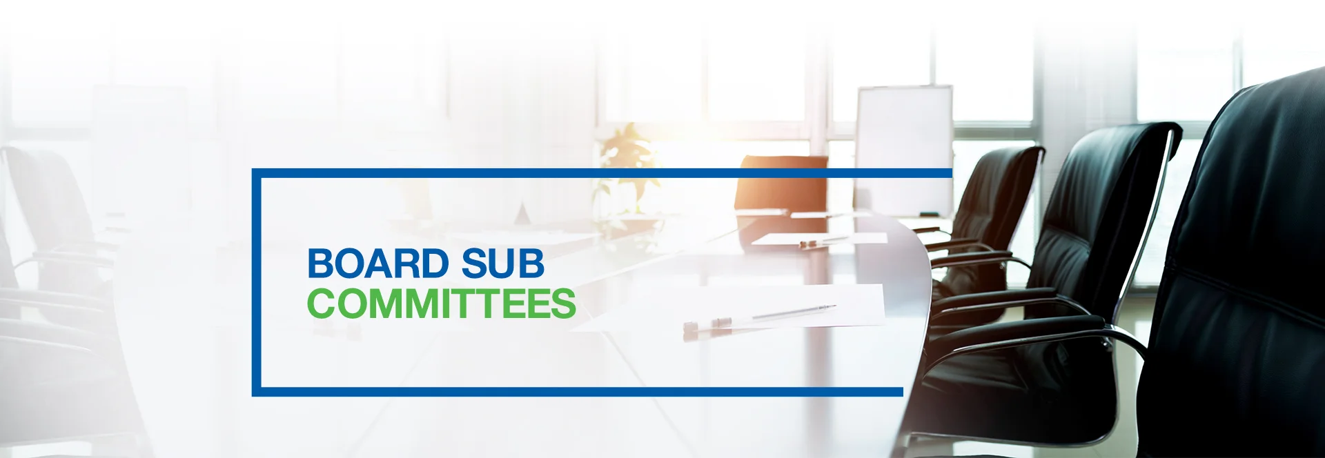 Board Sub Committees