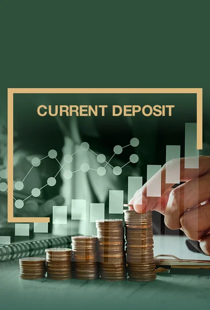 Current Deposit