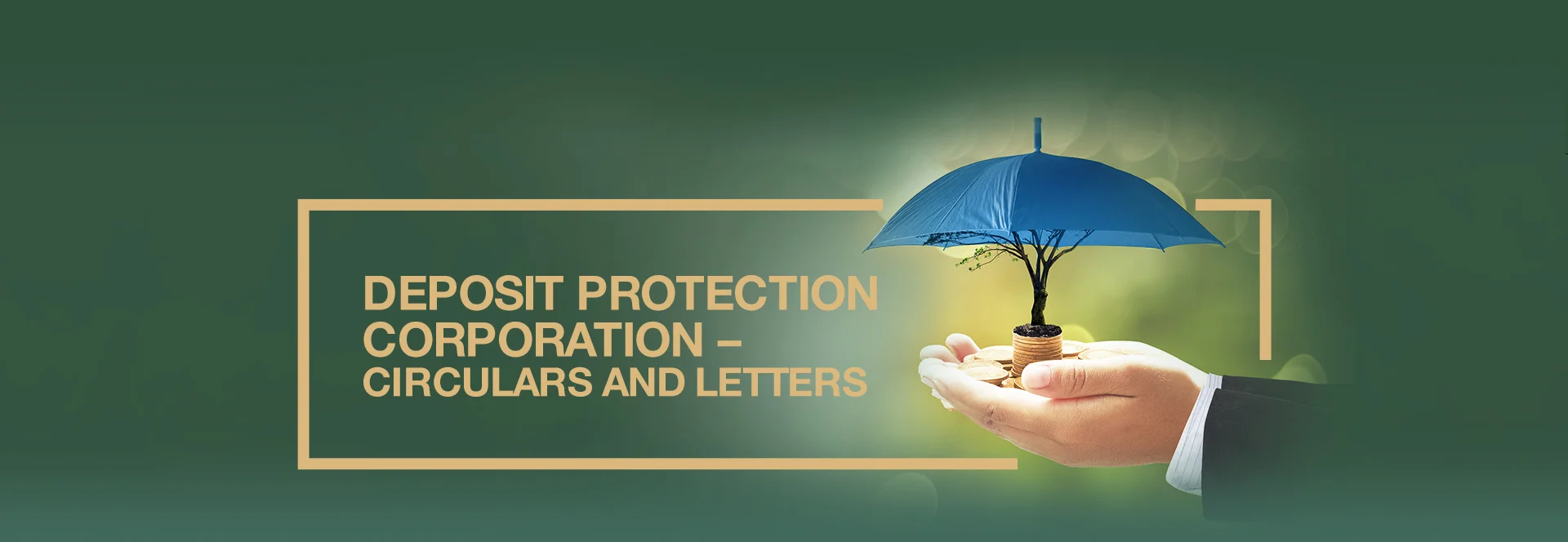 Deposit Protection Corporation - Circulars and Letters