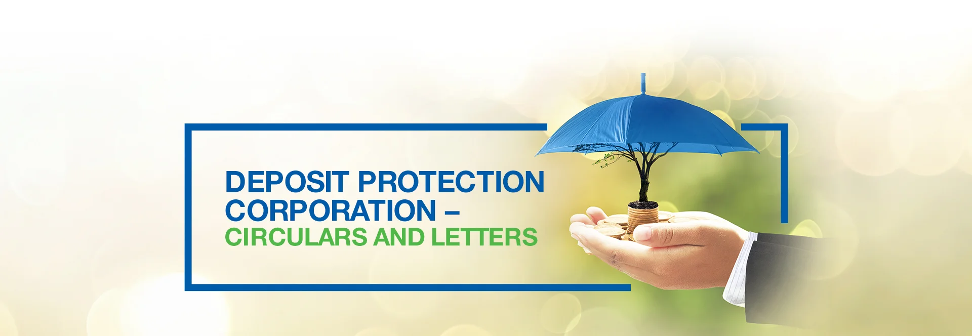 Deposit Protection Corporation - Circulars and Letters