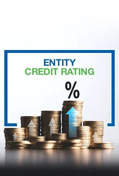 Entity Credit Rating