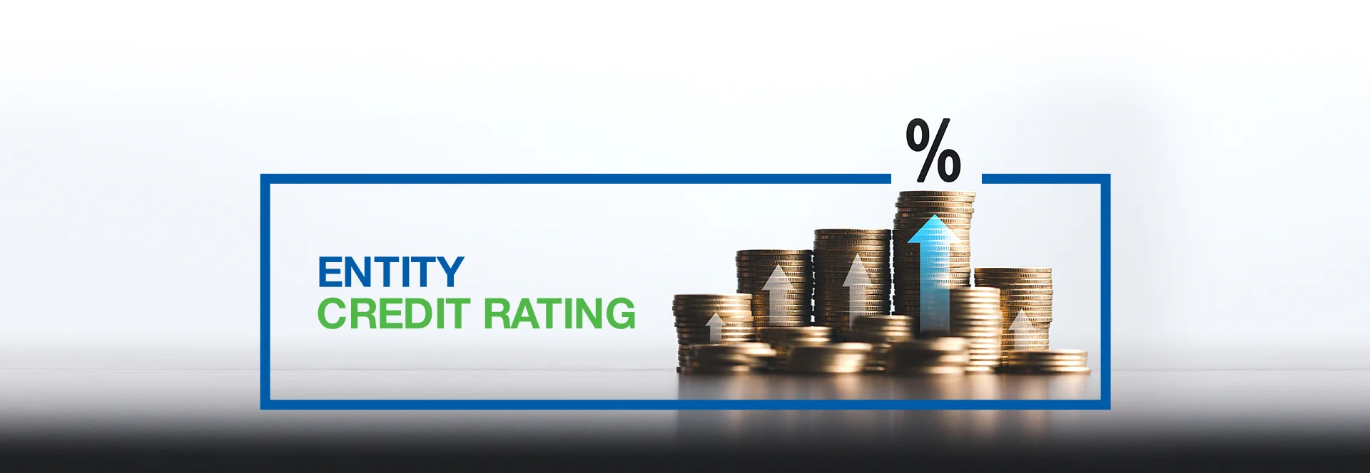 Entity Credit Rating