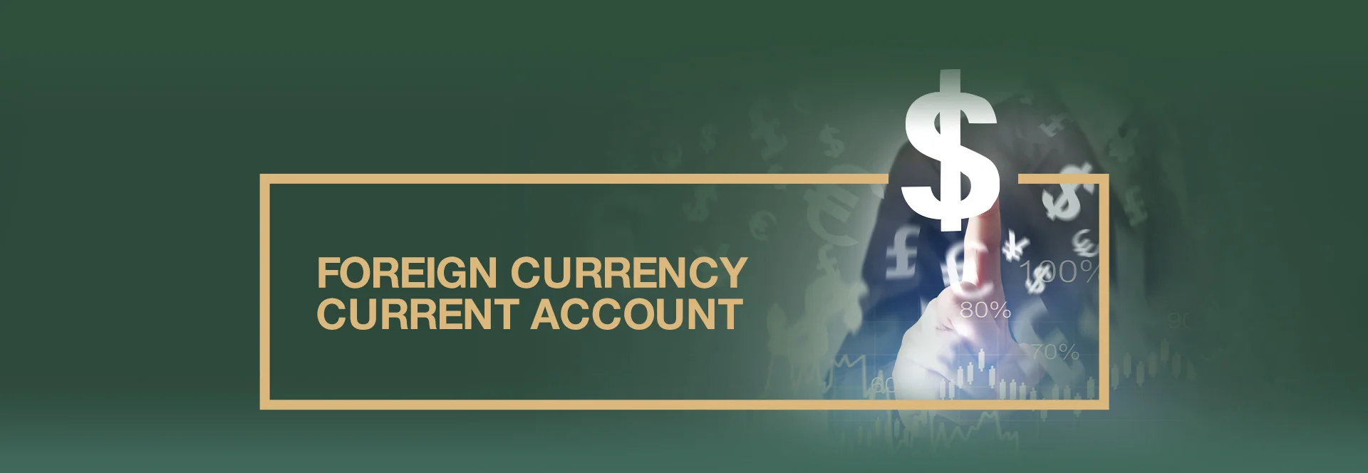 Foreign Currency Current Account