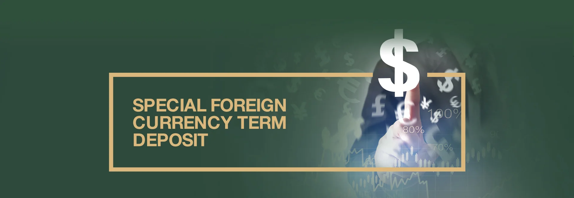 Special Foreign Currency Term Deposit