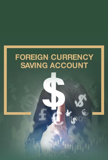 Foreign Currency Saving Account