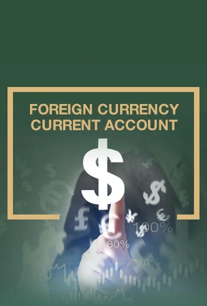 Foreign Currency Current Account
