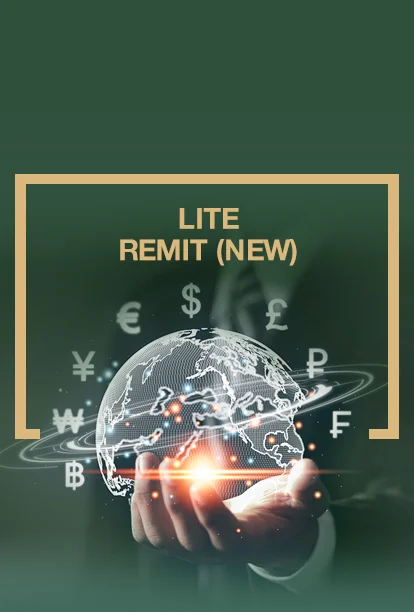 Lite Remit (New)