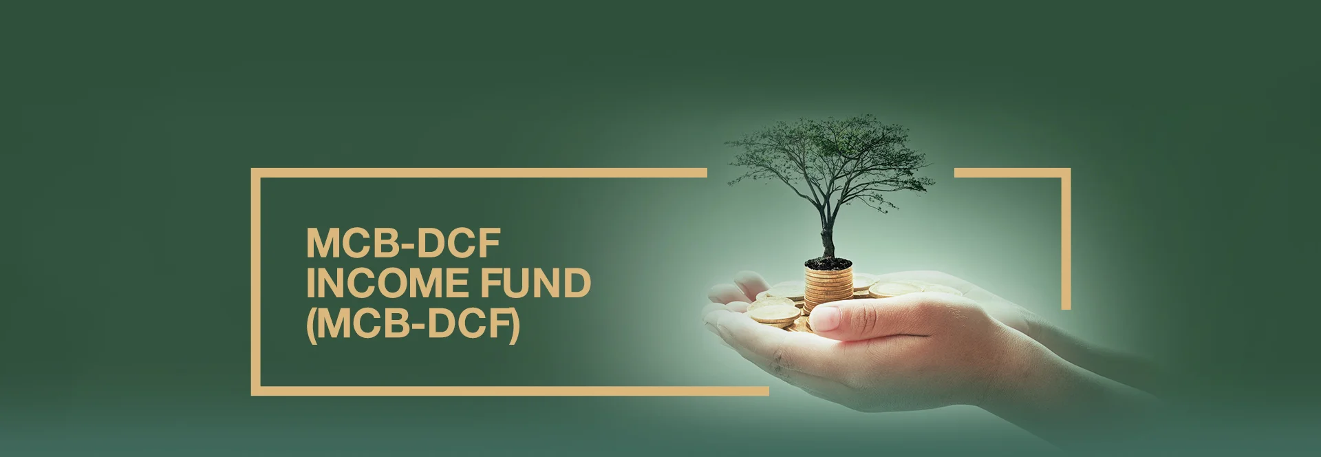 MCB-DCF Income Fund