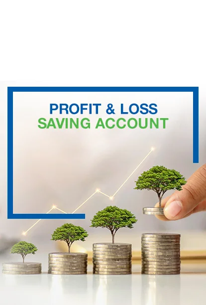 Profit and Loss Saving Account