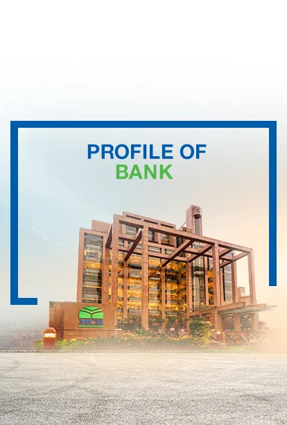 Profile of Bank