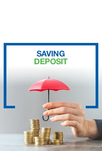 Business Savings Deposit