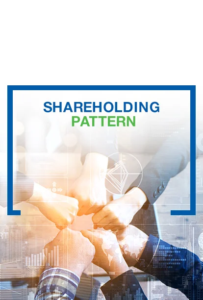 Shareholding Pattern