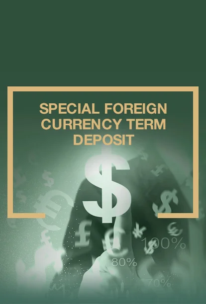 Special Foreign Currency Term Deposit