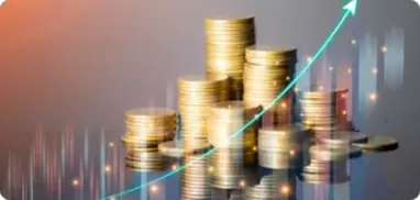 Deposit Protection Mechanism